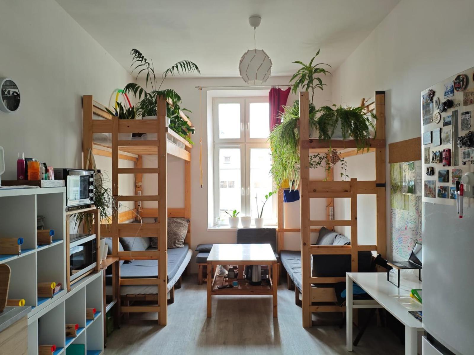 Evergreen Hostel Krakow Ngoại thất bức ảnh