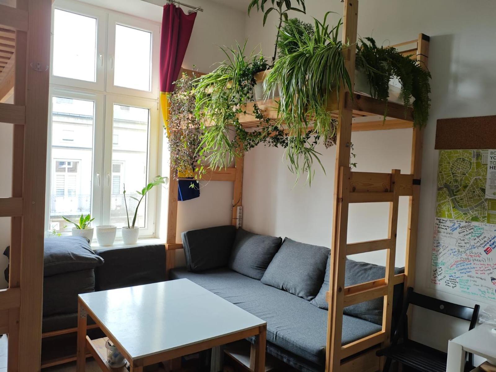 Evergreen Hostel Krakow Ngoại thất bức ảnh